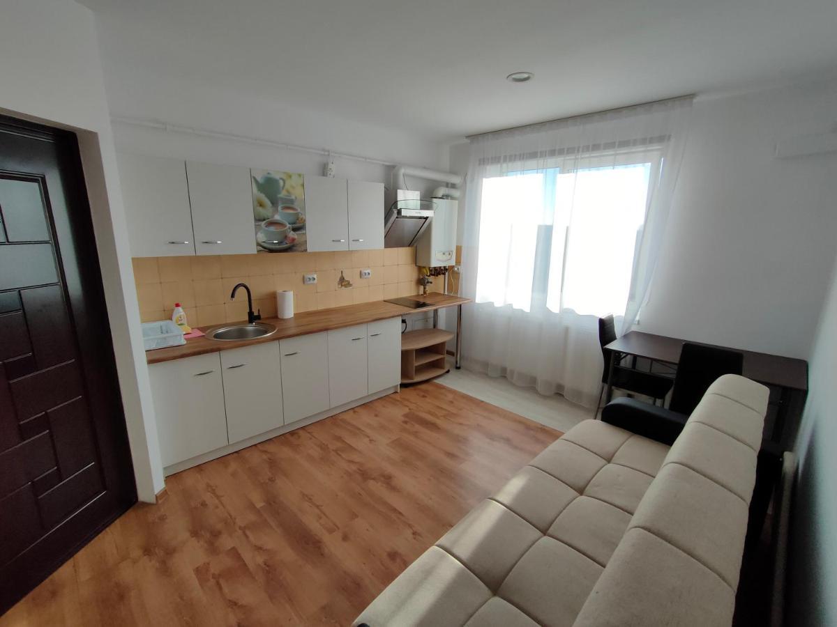 Fanea Residence Тимишоара Экстерьер фото