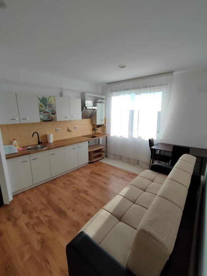 Fanea Residence Тимишоара Экстерьер фото